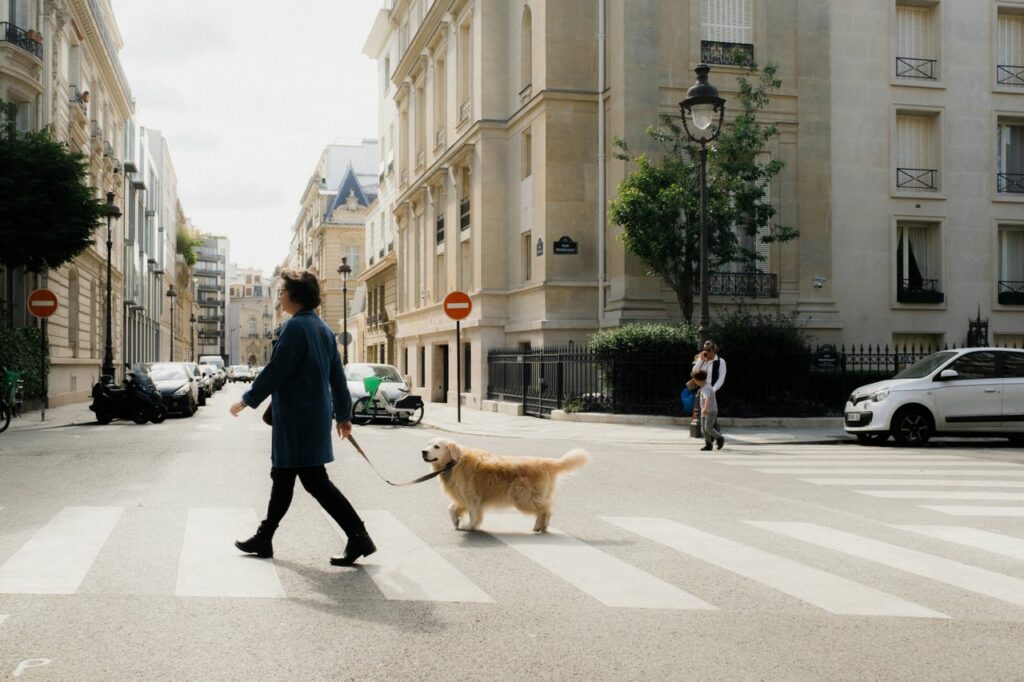 A woman and golden retriever crossing a chic Parisian street alongside classic architecture.